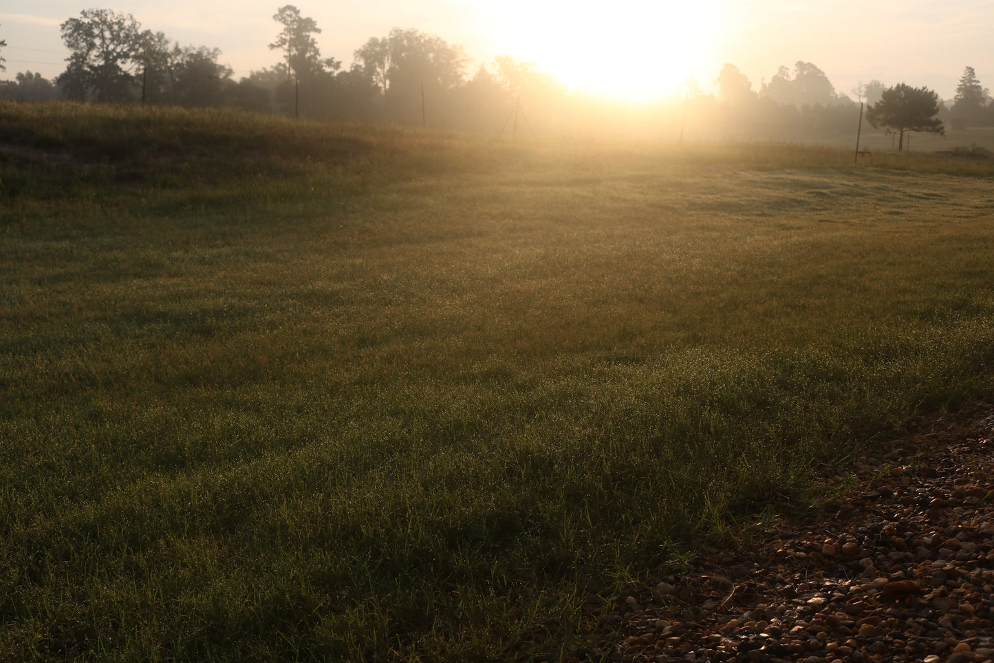 [DEPOSIT] Half Akaushi Beef