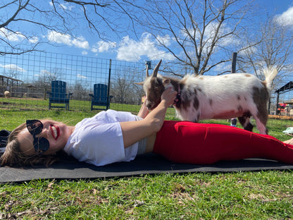 [DEPOSIT] Half Akaushi Beef