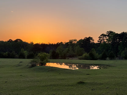 [DEPOSIT] Half Akaushi Beef