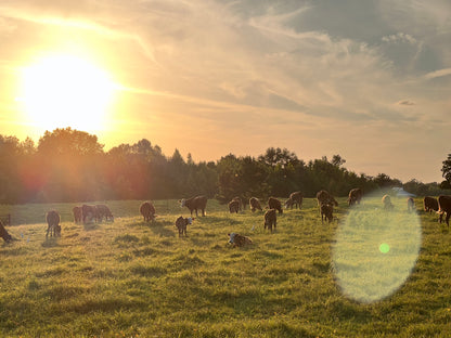 [DEPOSIT] Quarter Akaushi Beef